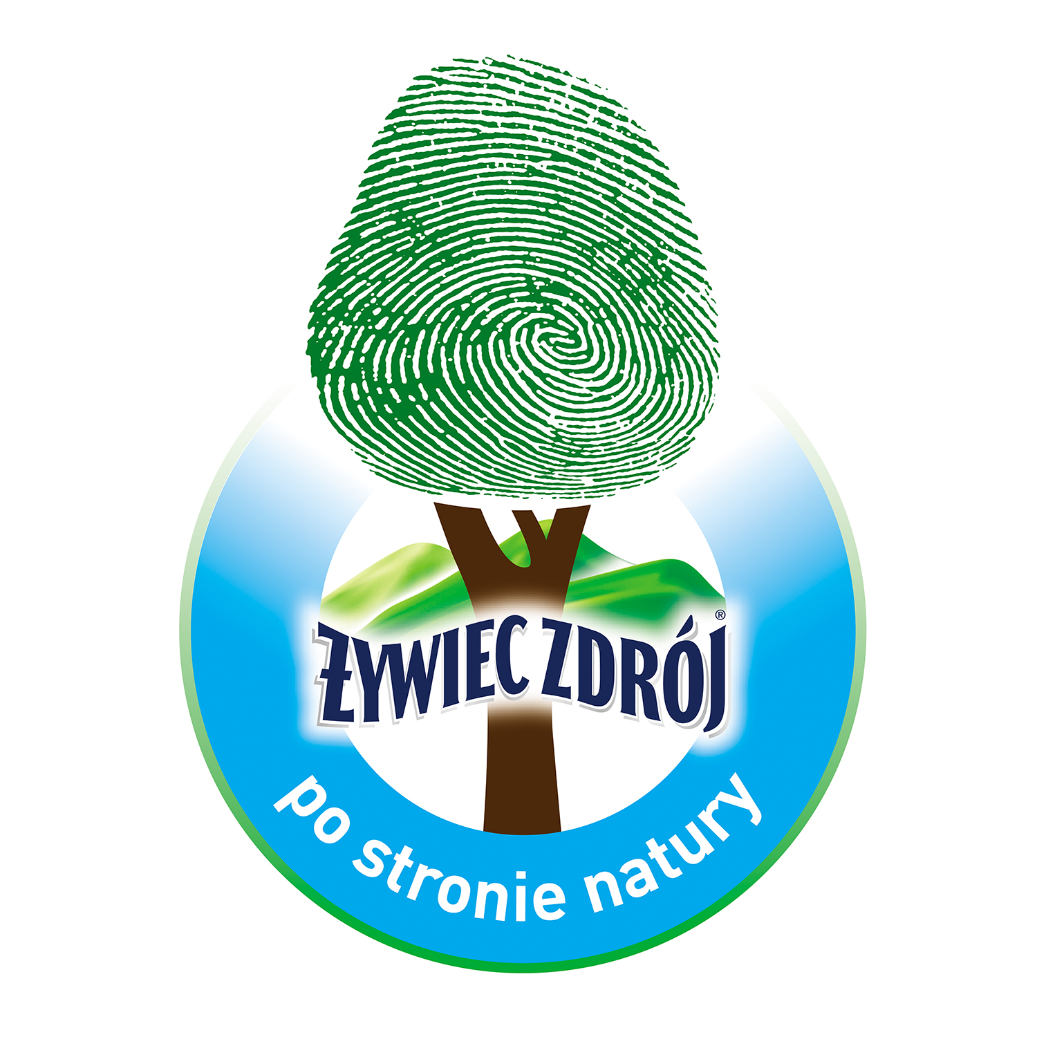 zywiec zdroj, nature, planting the trees